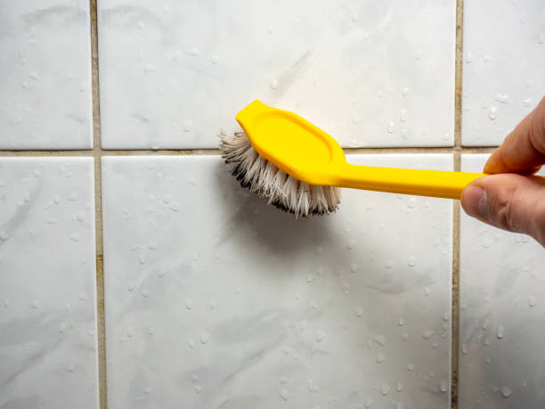 Best Health and Safety Mold Remediation in Ogden Dunes, IN